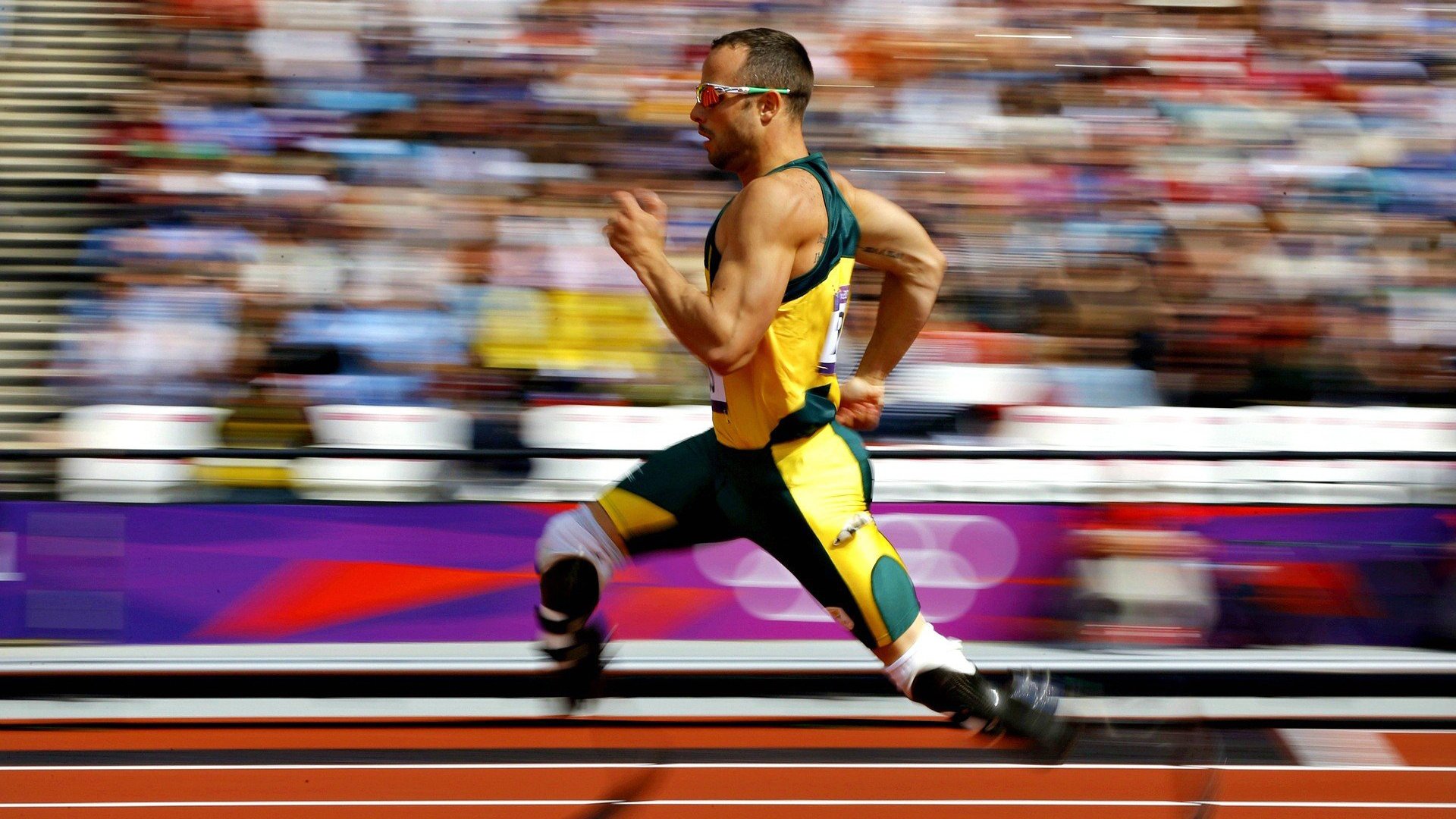 温网冠军争夺战提前分析，温网决赛谁是冠军